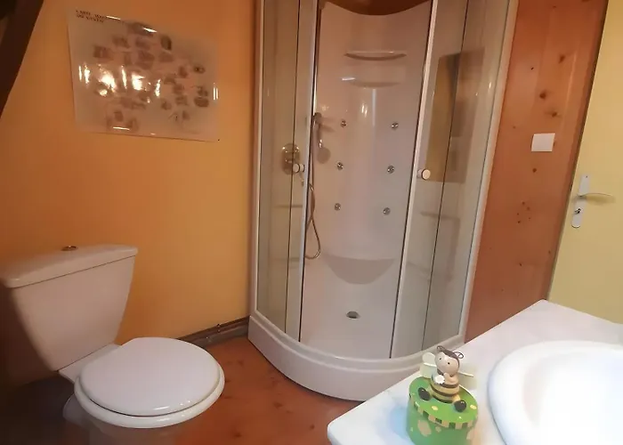 La Ruche - Tournesol