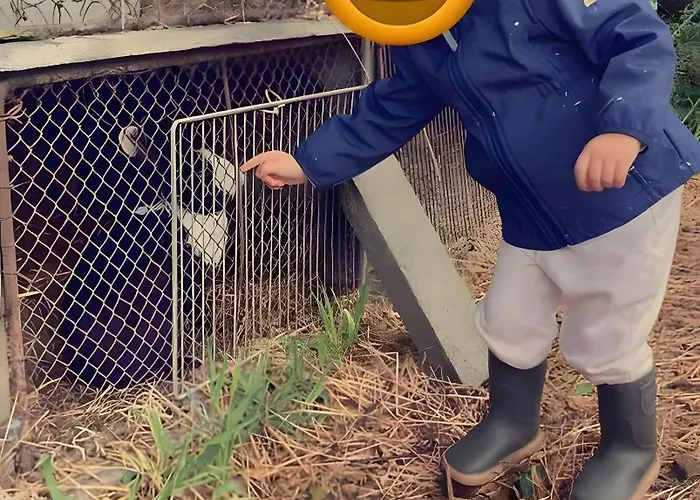 La Ruche - Tournesol