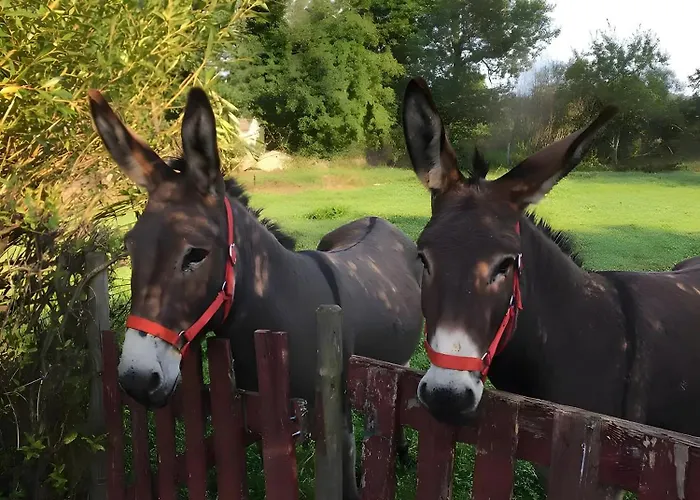 La Ruche - Tournesol Отель типа 