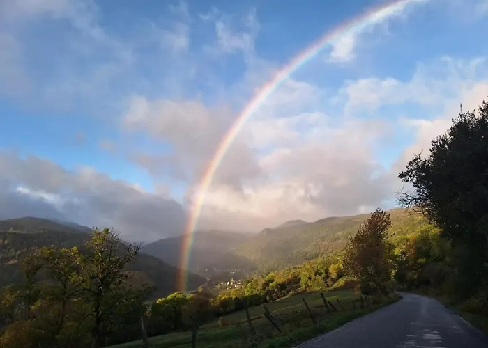 La Ruche - Tournesol