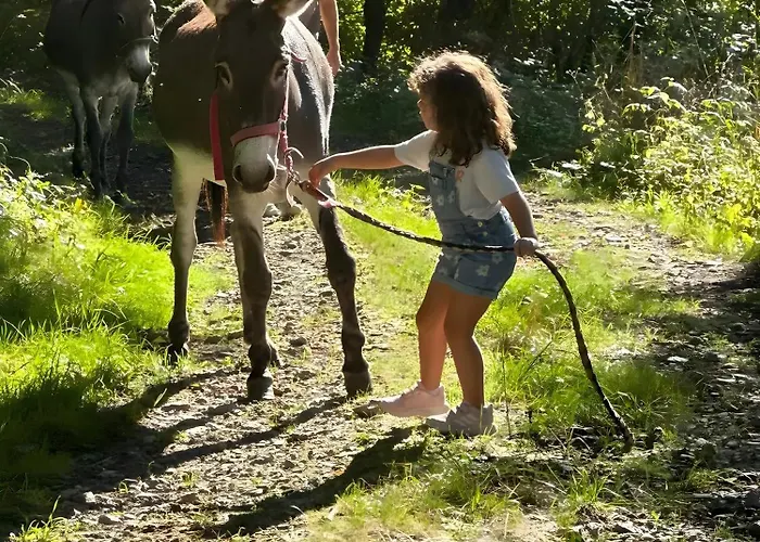 La Ruche - Tournesol 3*